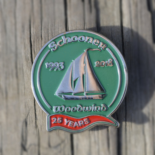 Twenty Fifth Anniversary Enamel Pins
